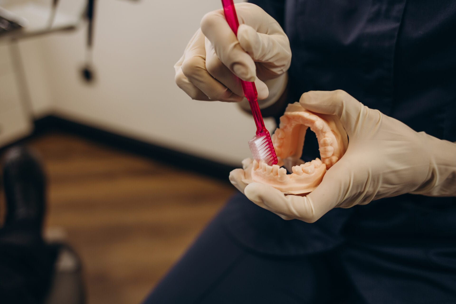 Woman dentist with gloves showing on a jaw model how to clean the teeth with tooth brush properly and right